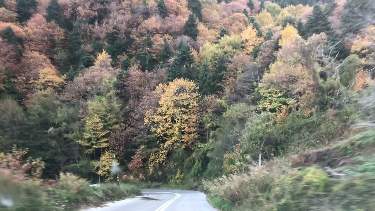 ΑΓΓΕΛΟΣ ΣΤΟΥΣ ΣΤΡΟΠΩΝΕΣ ΕΥΒΟΙΑΣ 5-11-21