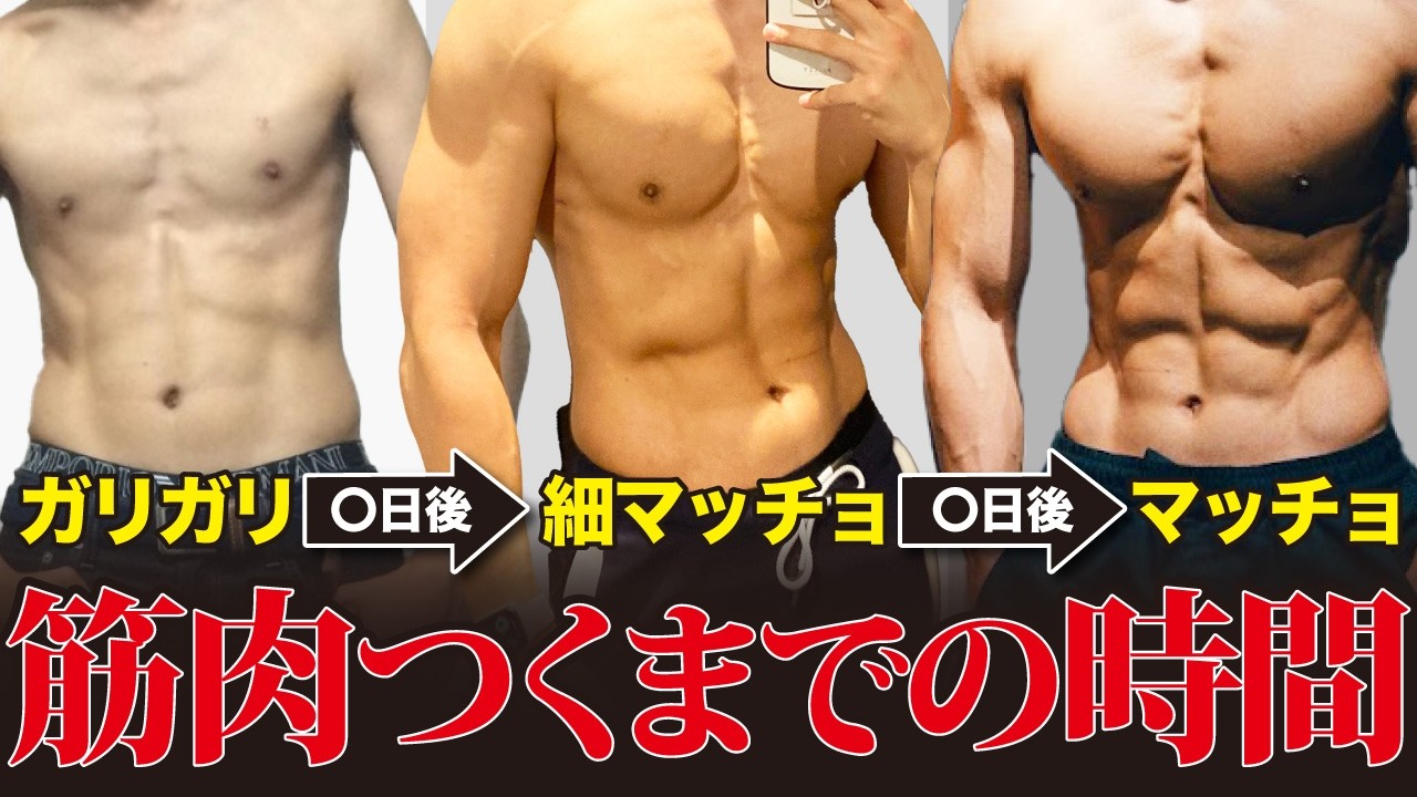 【99%が勘違い】筋トレをして筋肉がつくまでにかかる時間は？
