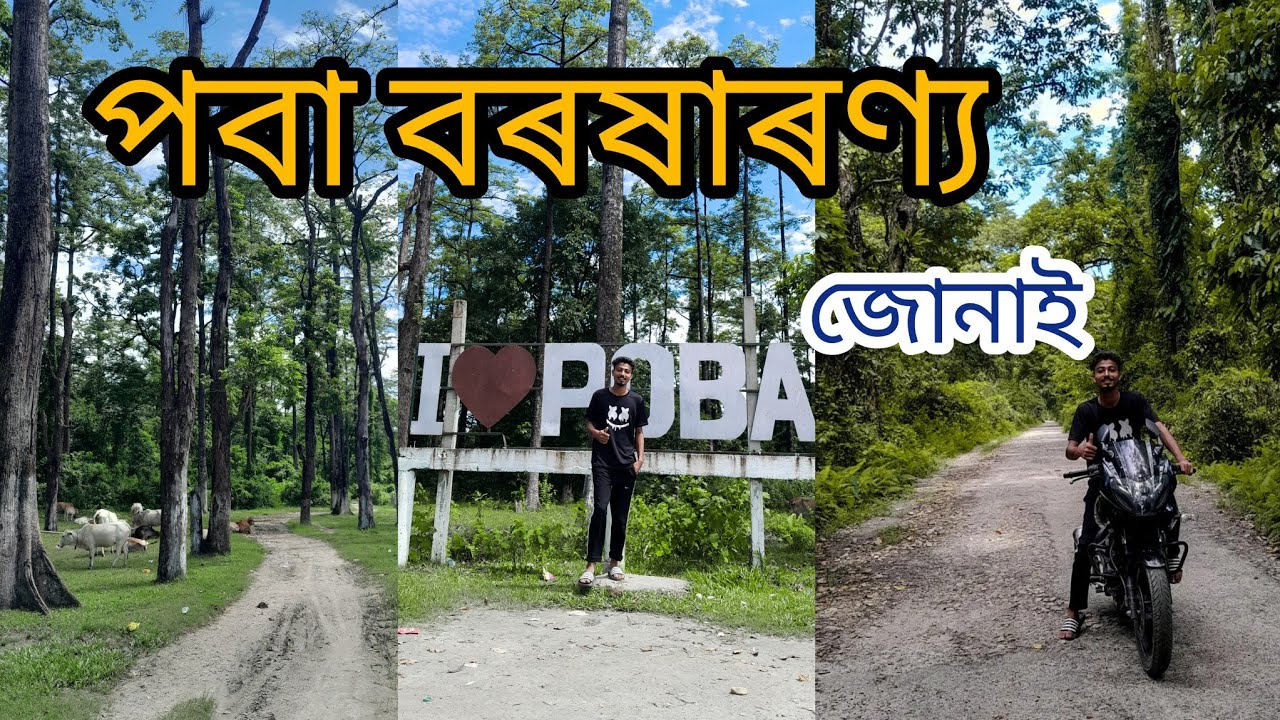 Most Beautifull Rainforest Poba 💚 Dhemaji Jonai
