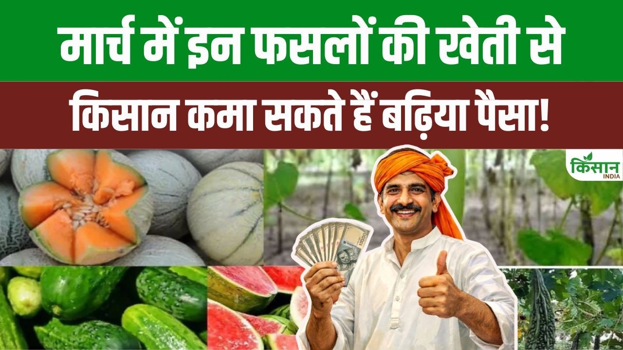 March में खाली खेत को बनाएं कमाई का जरिया: खीरा से लेकर तरबूज तक, इन फसलों से मिलेगा अच्छा मुनाफा