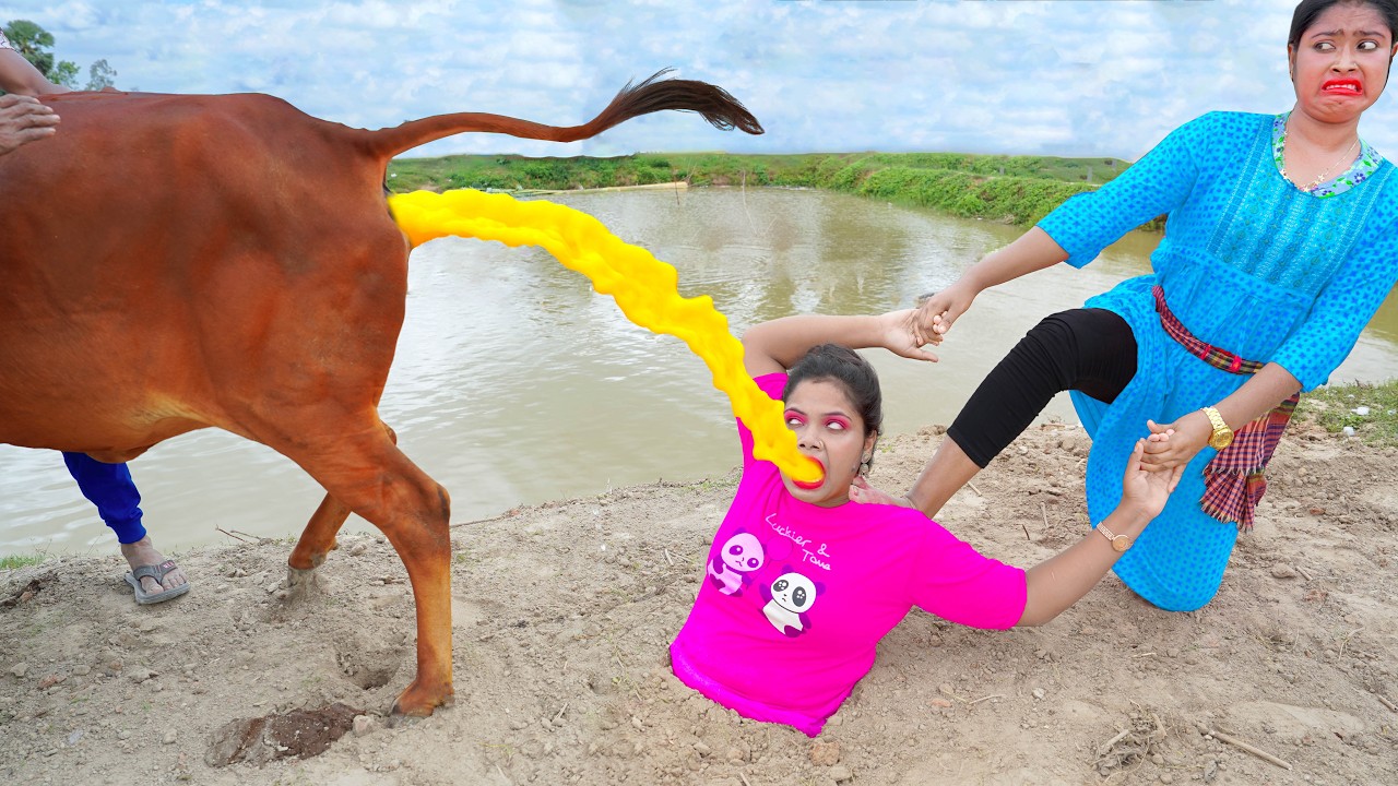 Funniest Fun Top Funny Video Stupid Boy Comedy Video 2026 try not to laugh 😂 Ep 176 by Fun Tv 420