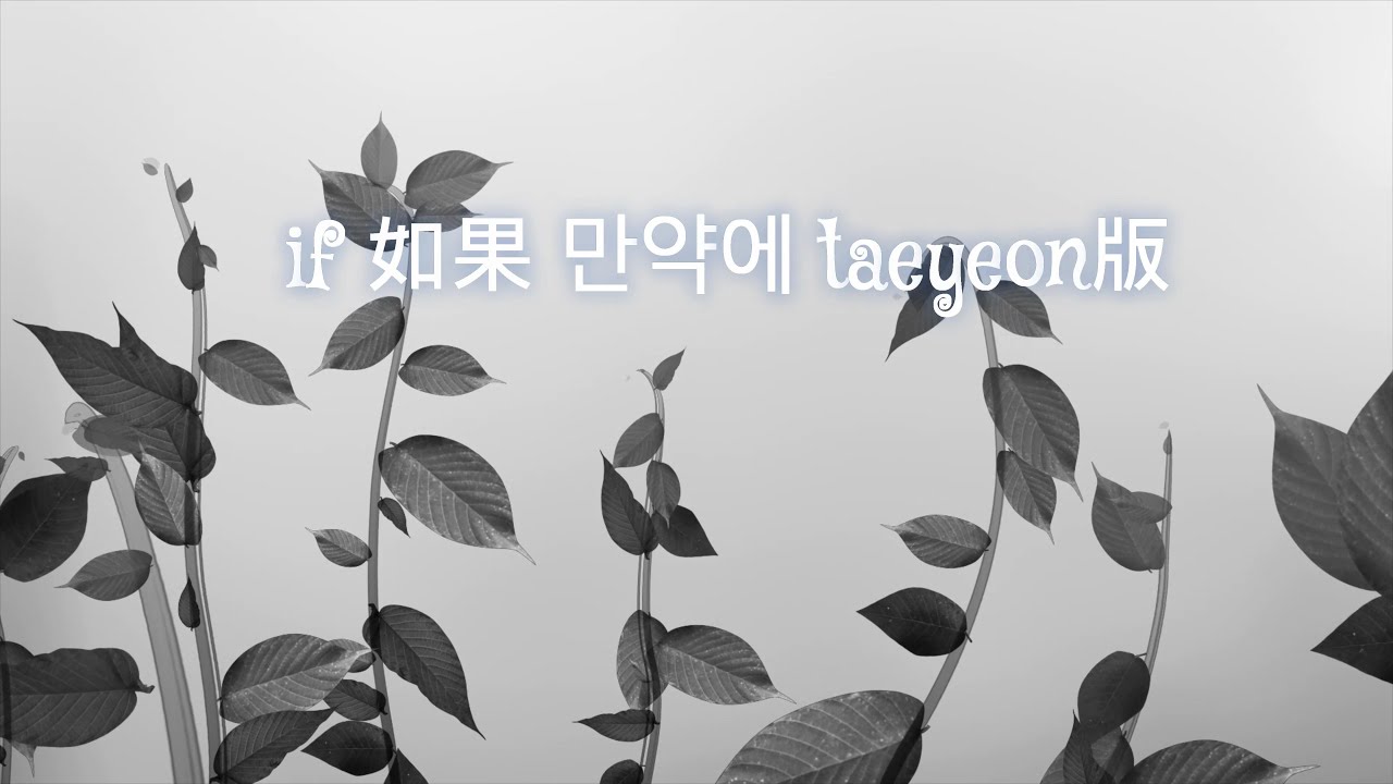 if 如果 만약에  taeyeon原唱  中音笛版