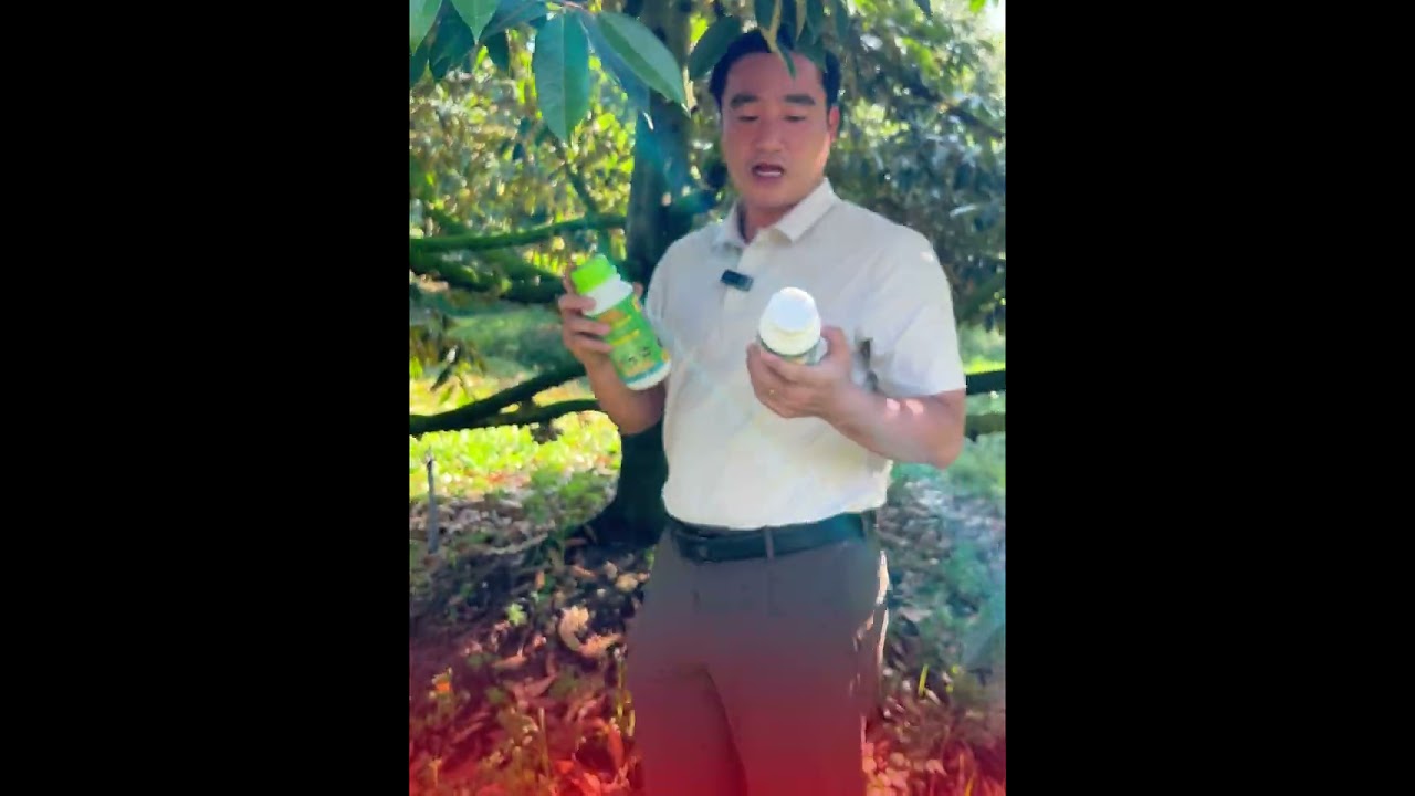 BIỆN PHÁP XỬ LÝ SƯƠNG MUỐI TRÊN CÂY SẦU RIÊNG