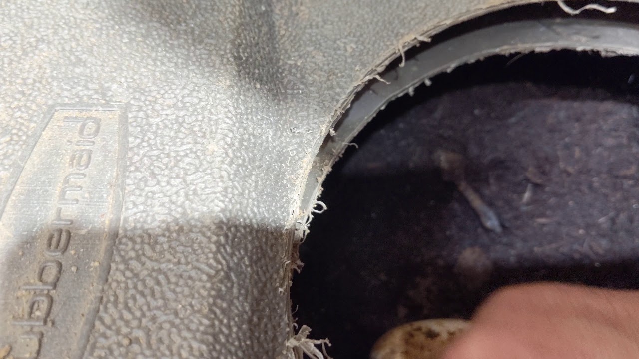4 More Perfect Lace Eggs!!!