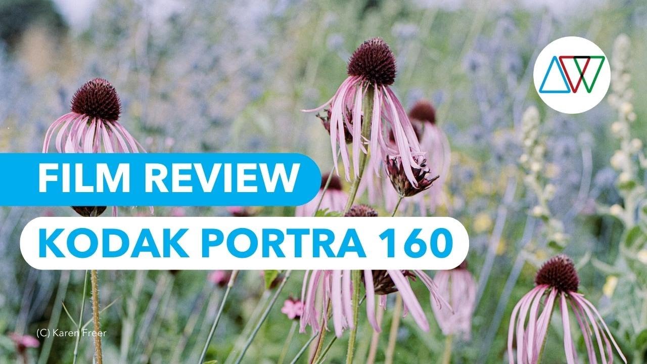 Kodak Portra 160 Review - 