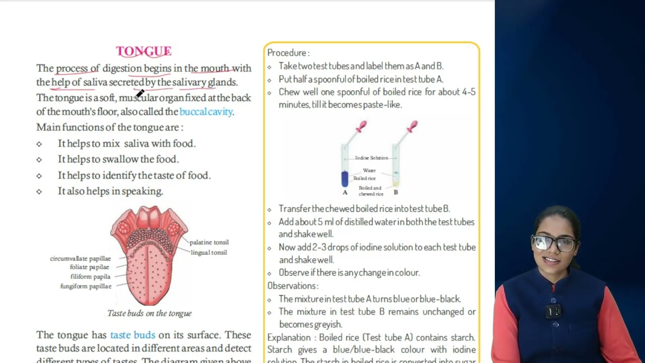 Science 7 ch 2