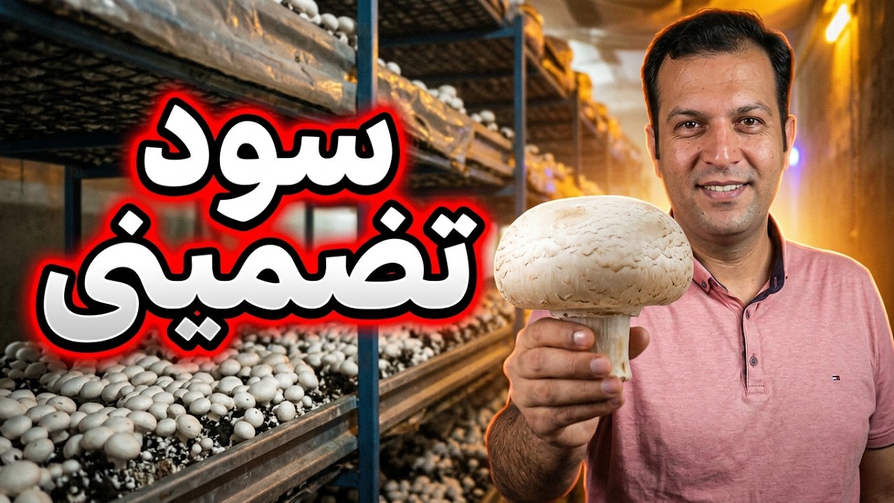 آموزش پرورش قارچ دکمه ای