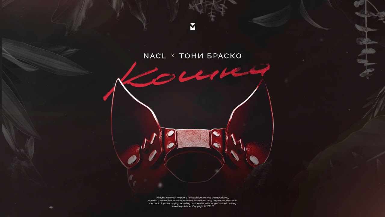 NaCl & Тони Браско - Кошка (Премьера песни, 2021)