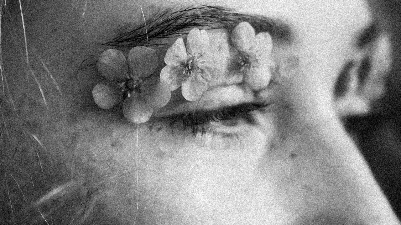 Lazarus Moment - Magnetic Flower (slowed)