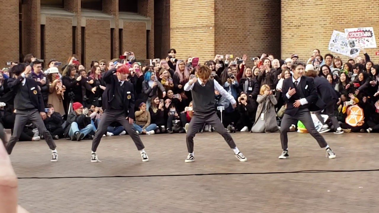 ACE Busk Savage