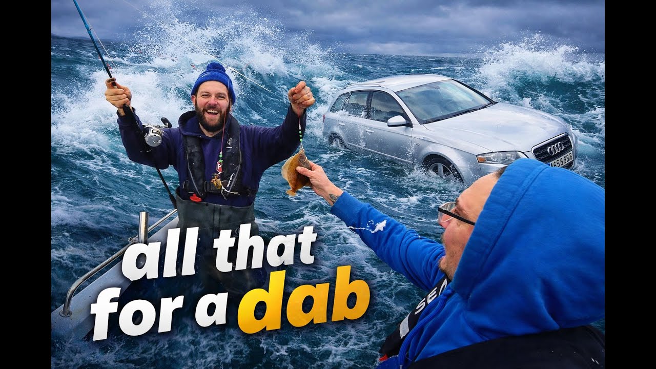 all that for a dab