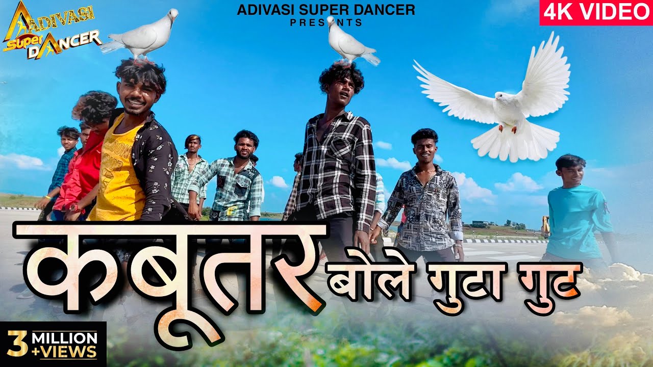 कबूतर बोले गुटा गुट / Raju Dancer & Makhan Dancer / Anil Piplaj / New Adivasi Video /Sunil Mavi jays