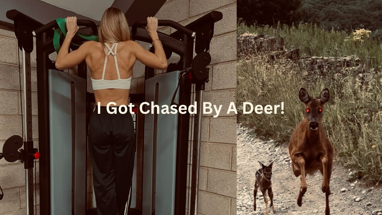 A Day At Work & A Story On A Time I Was Chased By A Deer!!