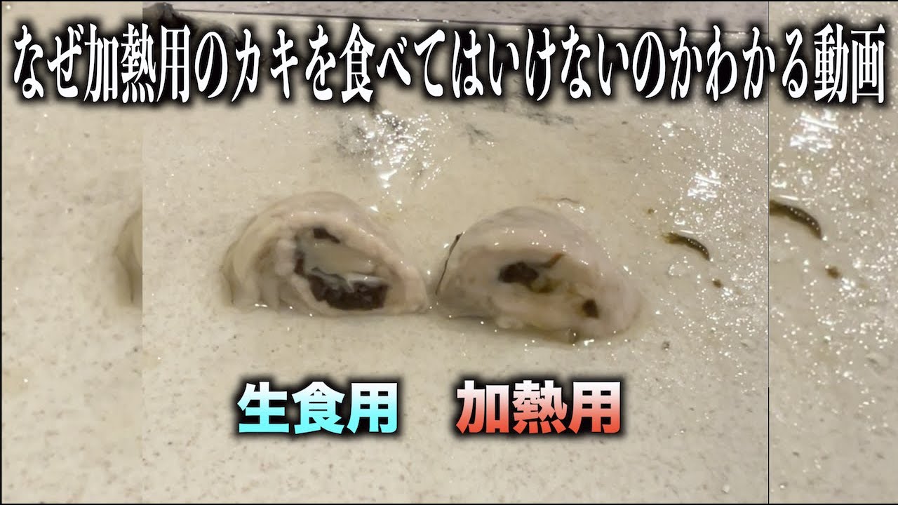 なぜ加熱用のカキをそのまま食べてはいけないのか10秒でわかる動画　#shorts