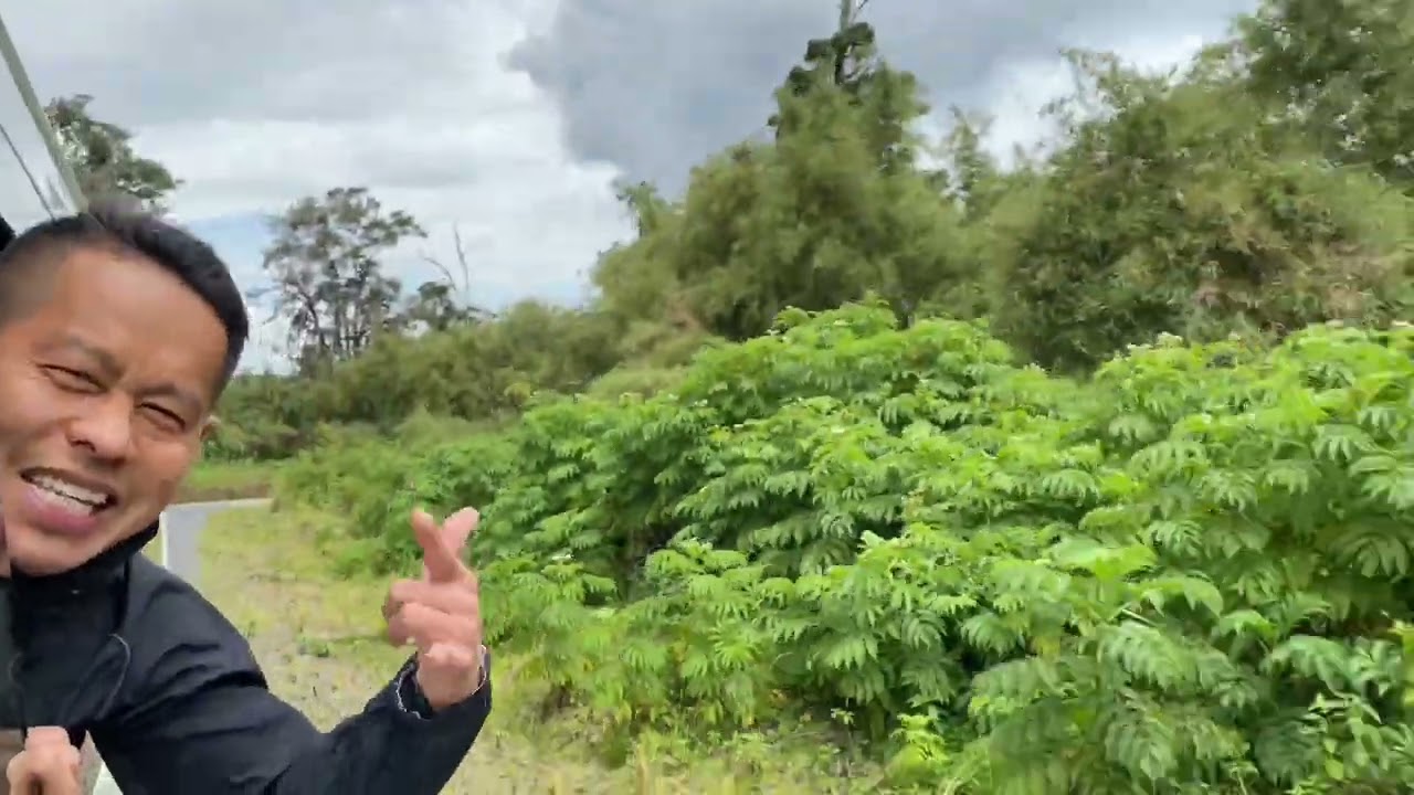 Mt Kenya National Park || Visit || Naro Moru Gate || KENYA