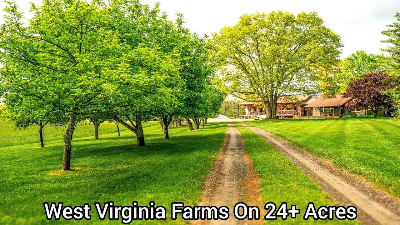 West Virginia Farms For Sale | 24+ Acres | West Virginia Real Estate | Log Cabins ATVs Ride
