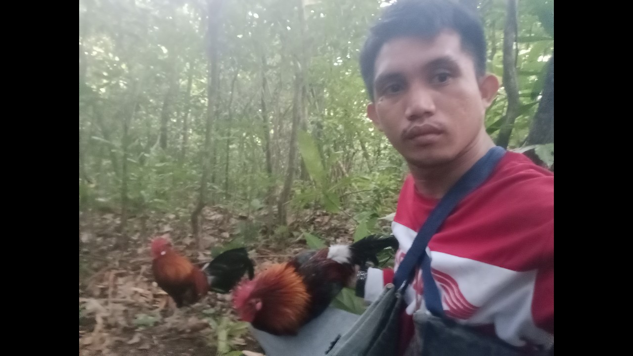 Ang tapang nang ligaw ang bilis sumabong🐓#Ka Apga Hunter 🐓