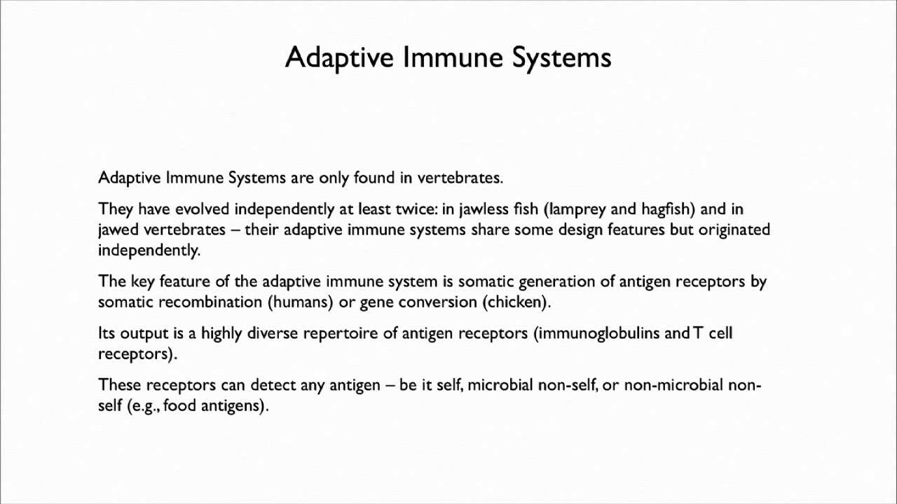 4.6 Defenses: Evolution of the Vertebrate Immune System