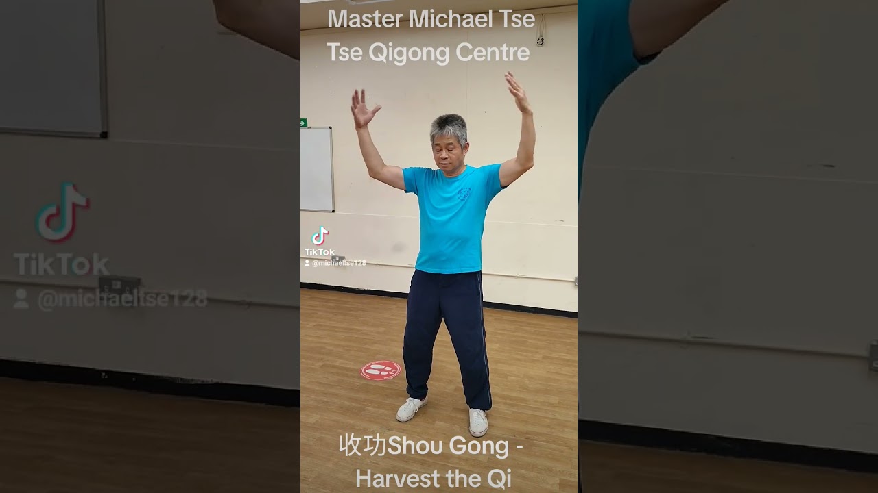 收功Shou Gong - Harvest the Qi #qigong #health #healing #meditation#氣功  #relaxation #circulation