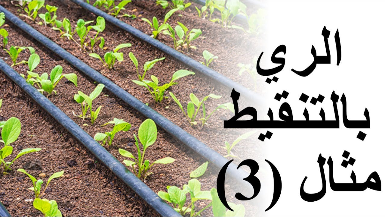 الري بالتنقيط مثال (3)