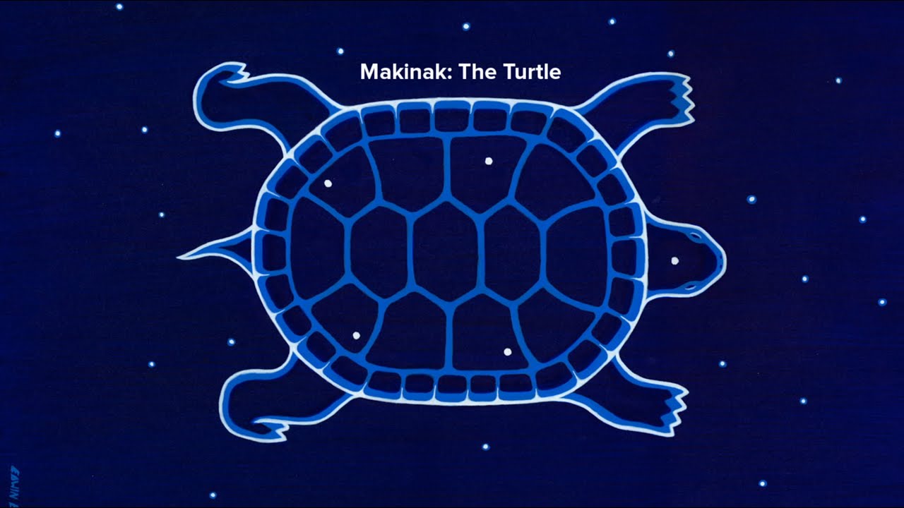 Makinak: The Turtle by Wilfred Buck