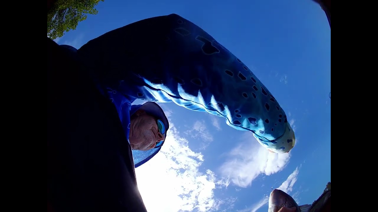 Cockroach bay Kayak fishing with Danny