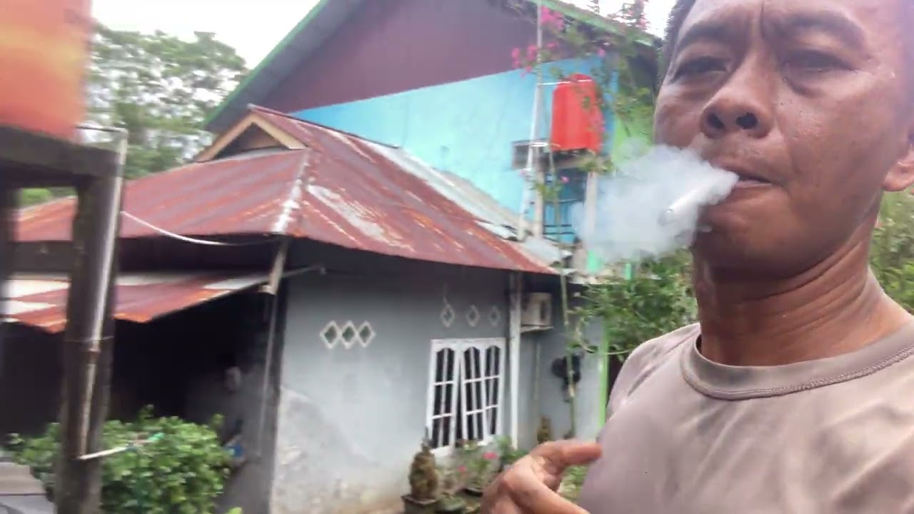 Pokoknya harus punya