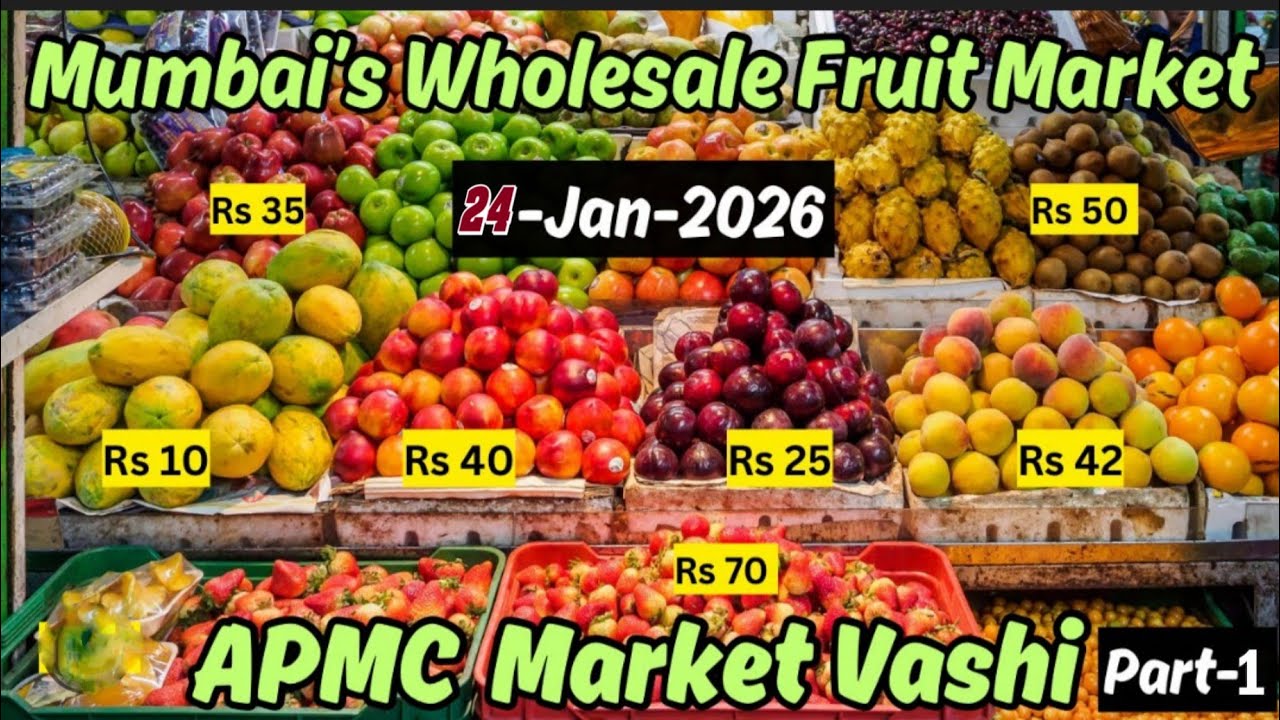 वाशी Fruit Market | Vashi APMC Fruit Market | Wholesale Fruit Market In Mumbai 2026.