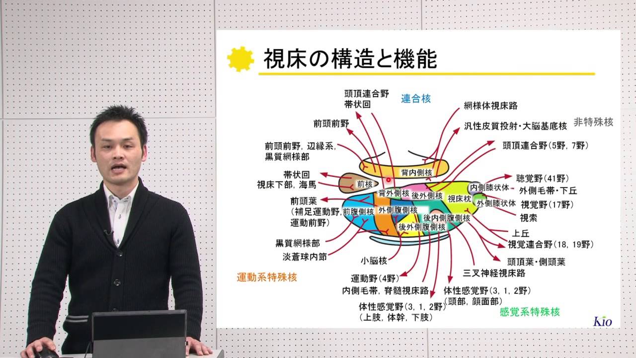 10分でわかる脳の構造と機能vol.9「視床・視床下部」‐畿央大学ニューロリハビリテーション研究センター‐