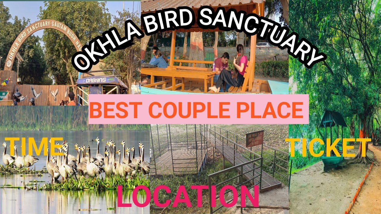 OKHLA BIRD SANCTUARY NOIDA 2026 || OKHLA BIRD SANCTUARY DELHI || BEST COUPLE PALACE 