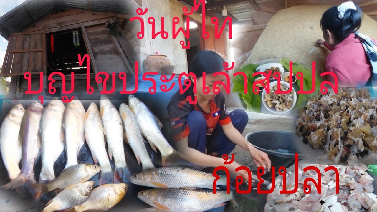 22 มกราคม ค.ศ. 2026เอาปลามากินเดือนสาม[ເອົາປາມາກິນເດືອນສາມ]