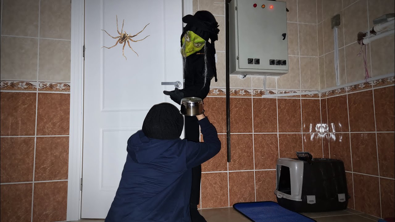 DUVARDAKİ HALLOWEEN CADISI BİZİ YAKALDI !