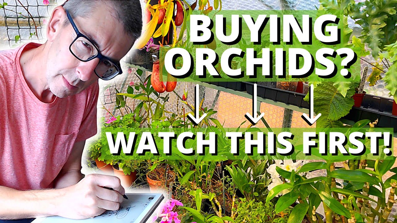 ORCHID PURCHASE CHECKLIST - I do this with every new orchid!
