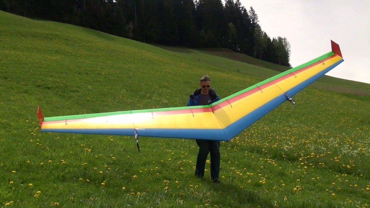 Flug des Albatros