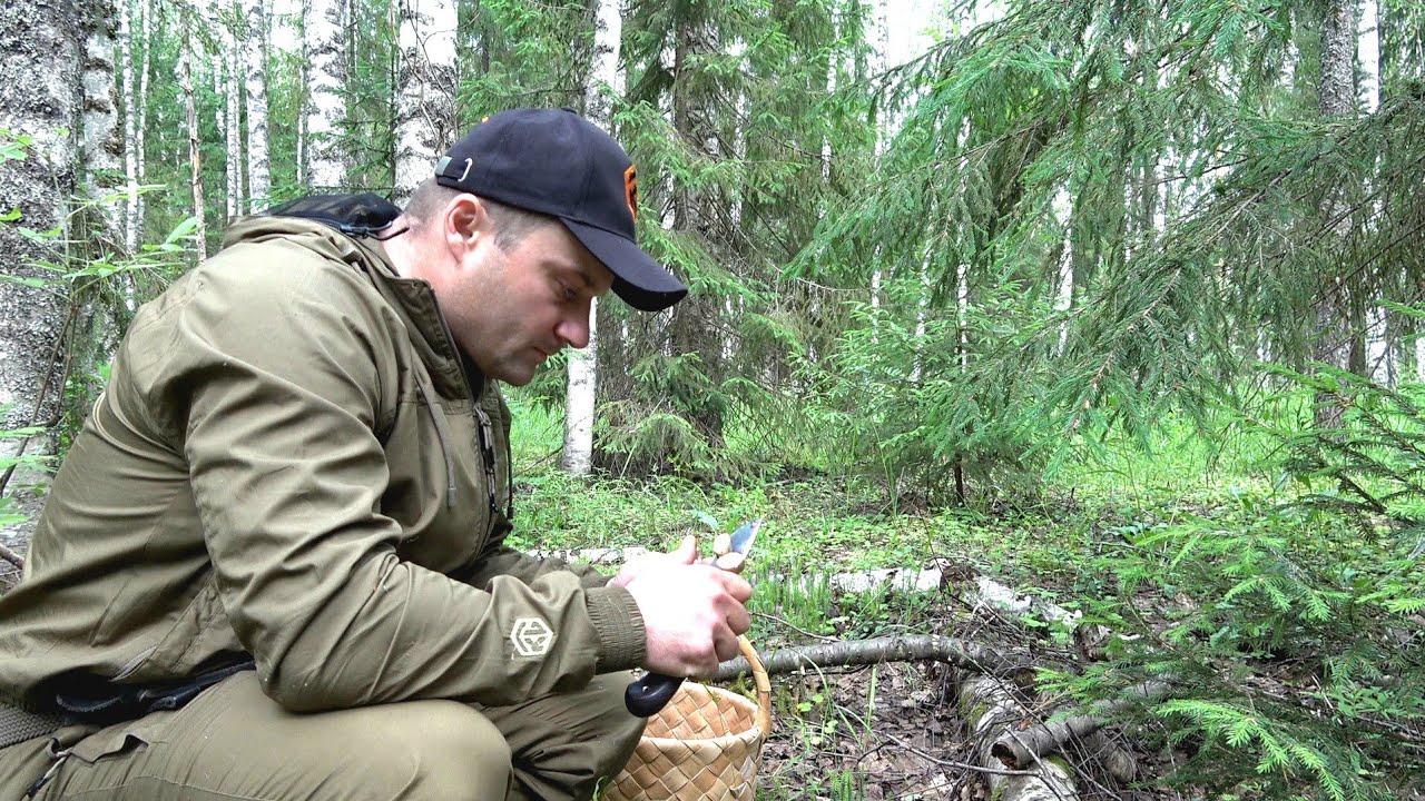 ГРИБНИК ЗАШЕЛ В ЛЕС. НАБРАЛ ГРИБОВ У ЗАБРОШЕННОЙ ДЕРЕВНИ.