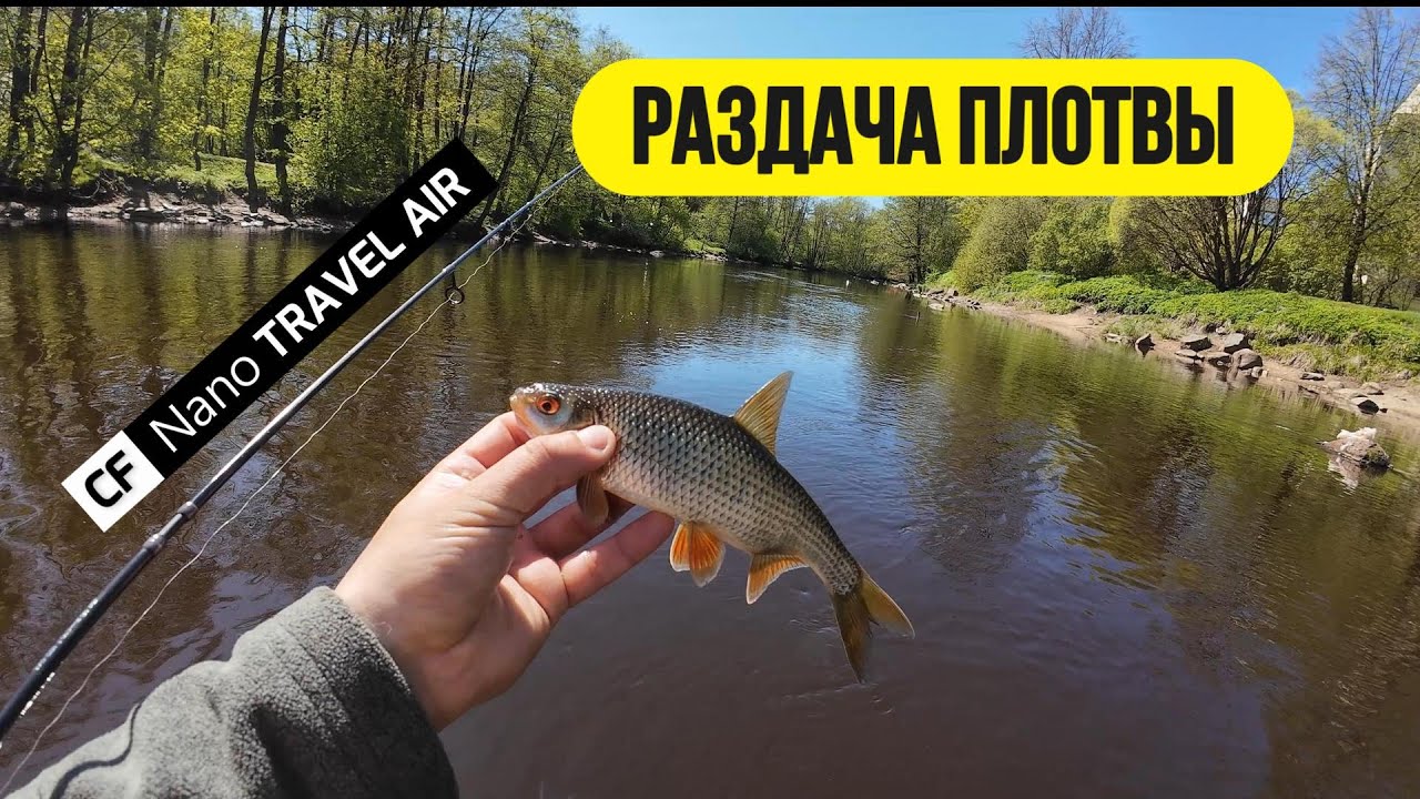 #мормышинг | Микро речка | Жирная плотва | Часть 1 |