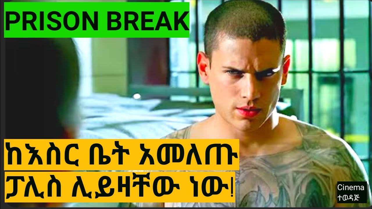 🛑 Prison Break-ከእስር ቤት አምልጠው በፓሊስ እየተፈለጉ ነው! ምዕራፍ 2 ክፍል 12-14
