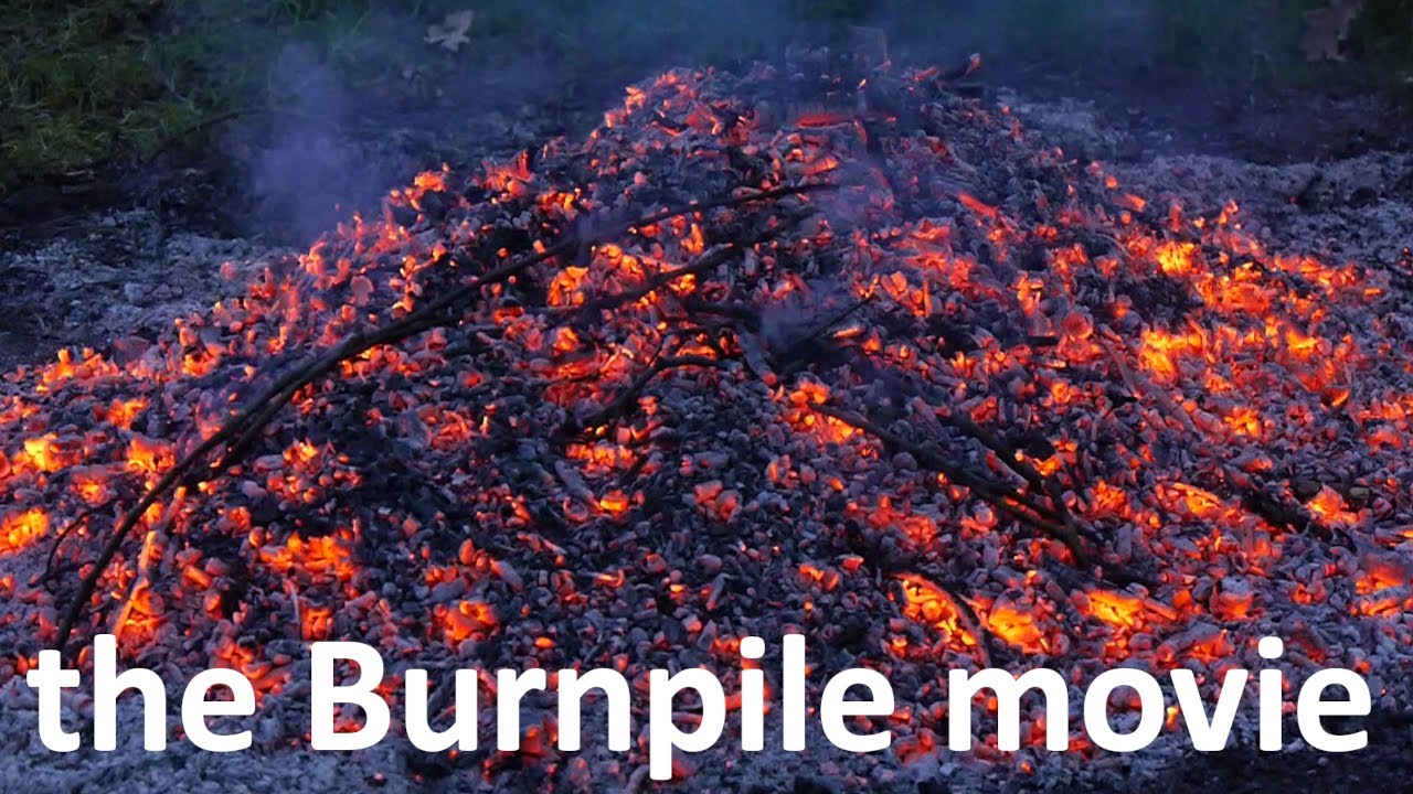 Burning some brush