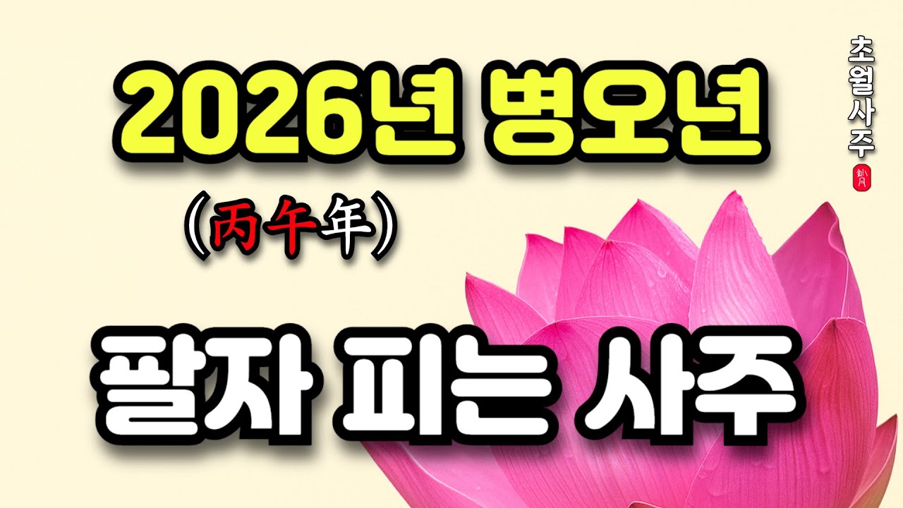 [2026년 운세] 병오년(丙午年), 팔자 피는 사주 네 가지