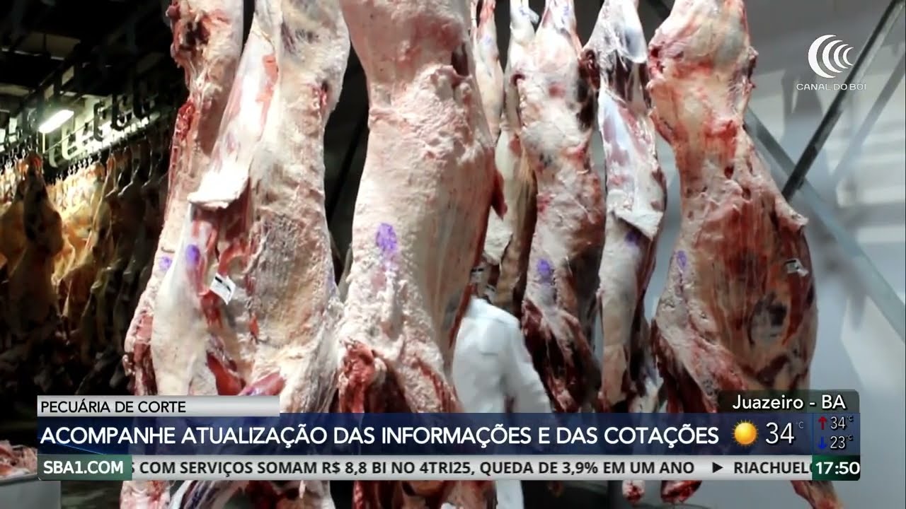 China impõe cotas e tarifa extra, mas mercado do boi gordo reage no Brasil