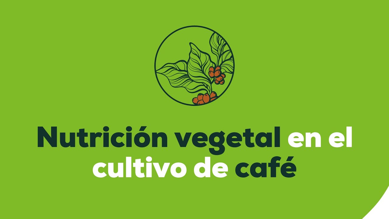 Nutrición vegetal en el cultivo de café