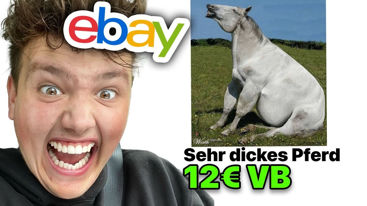 EBAY FAILS bei denen ich TRÄNEN lache 😂 😂