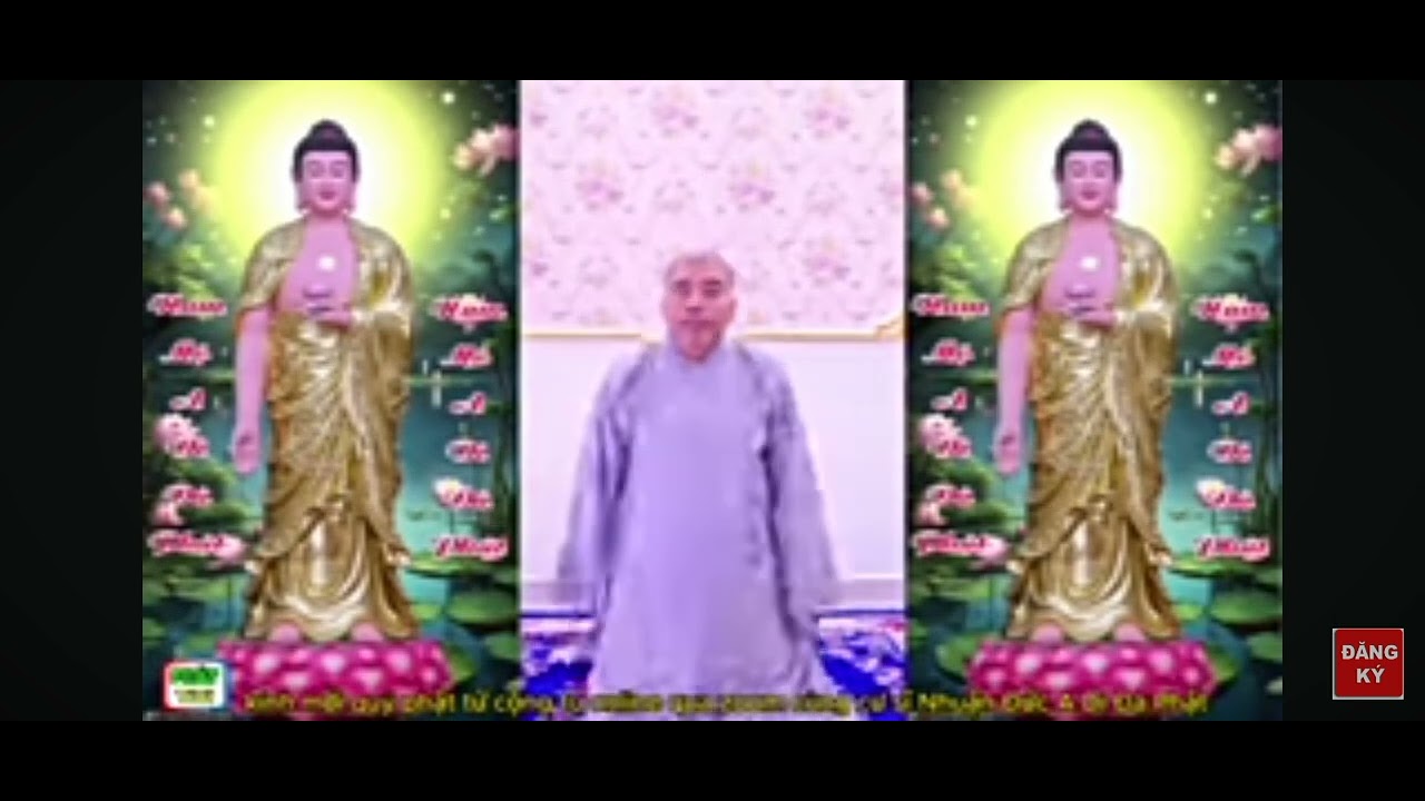❤️CỘNG TU VỚI CƯ SĨ  NHUẬN ĐỨC : NIỆM PHẬT LỄ PHẬT MỖI NGÀY.#video#thichnhuanduc  #tinhdo#tintuc.