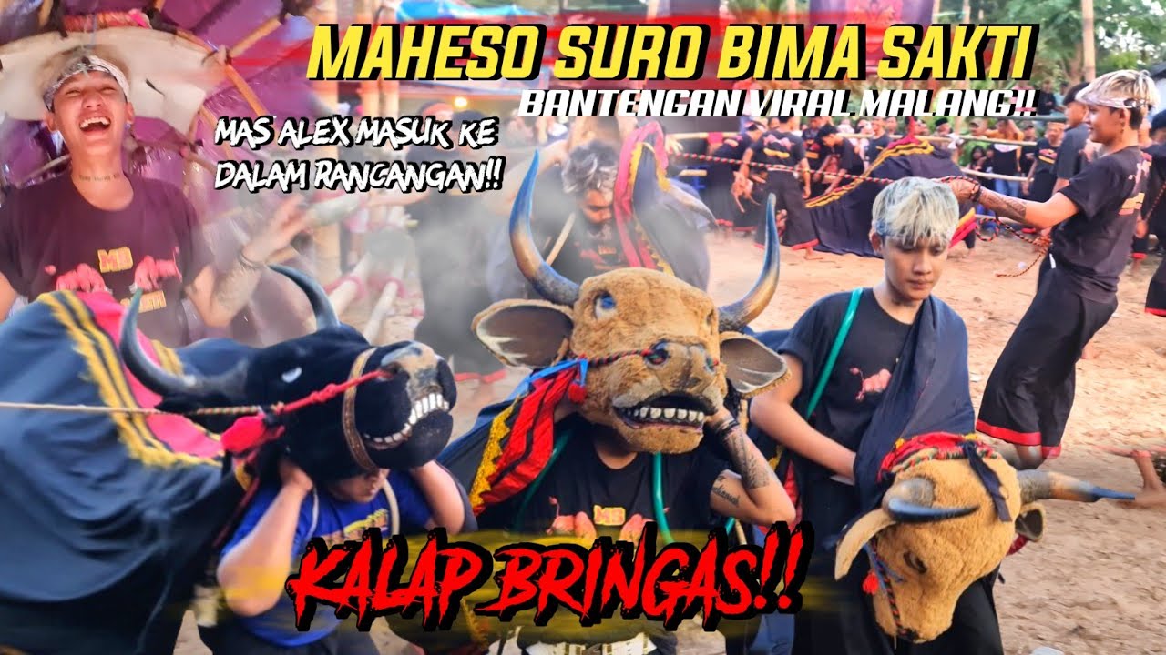 MAHESO SURO BIMASAKTI!! apa yang terjadi saat mas alex mberot!!?? langsung kalap demit lereng semeru