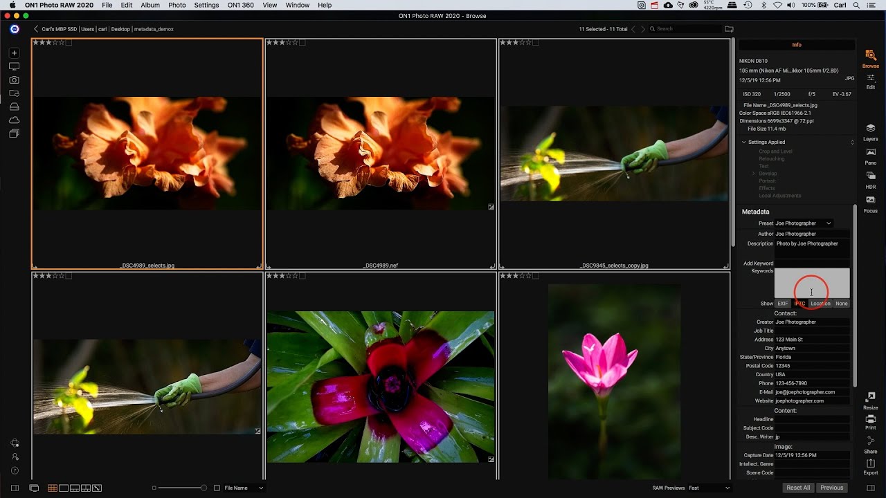 Adding metadata with ON1 Photo RAW - including Google Images metadata