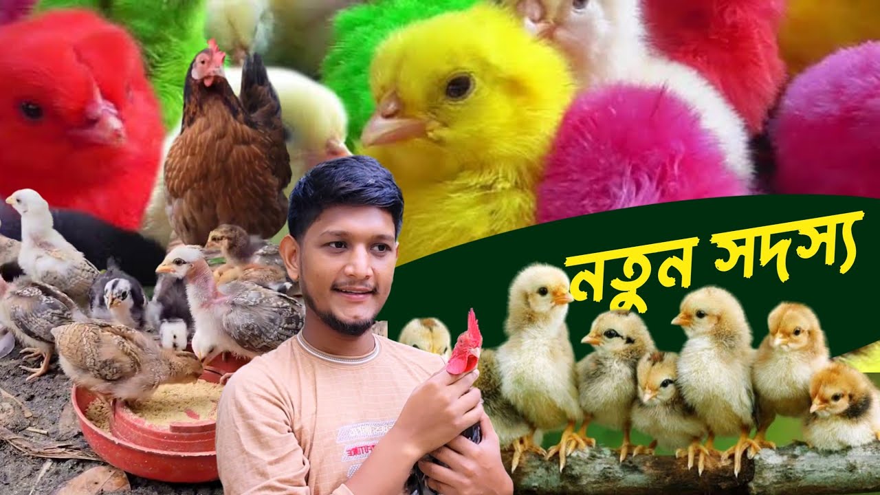 আমাদের খামারে নতুন রঙিন সদস্য | Sojib Brother