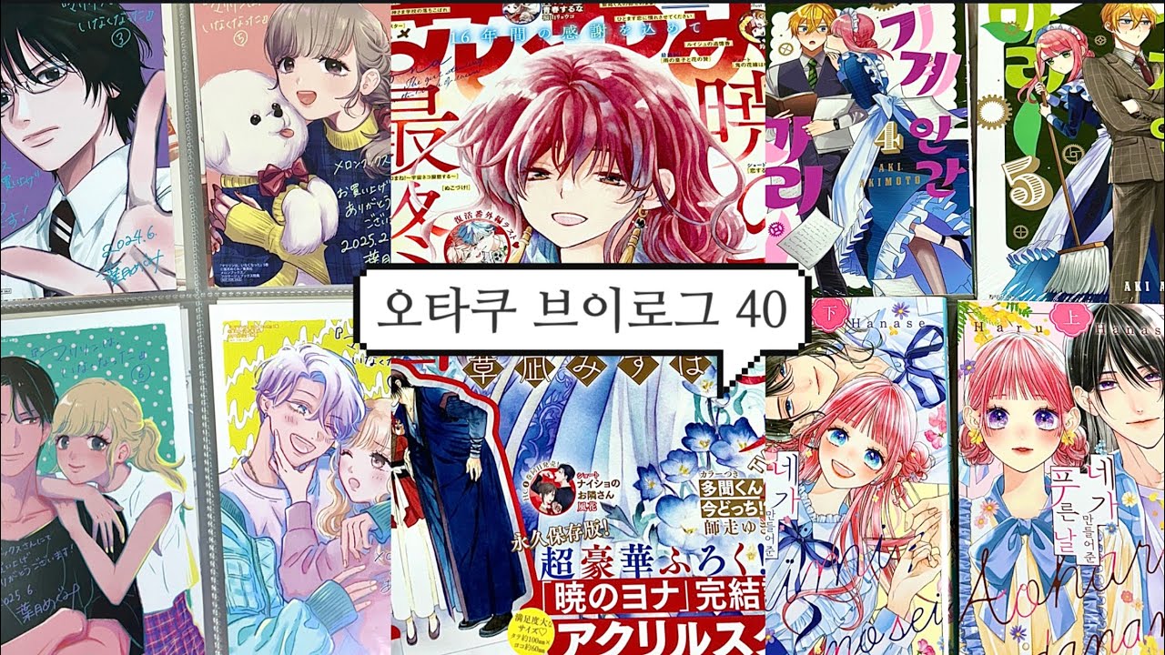 [40] 최애작이 16년 만에 완결남😭 메루카리 1n만원 깡 | 새벽의 연화 | 하나또유메 잡지 | 기계 인간 마리 | 네가 만들어준 푸른 날 | 소꿉친구  [오타쿠 브이로그]