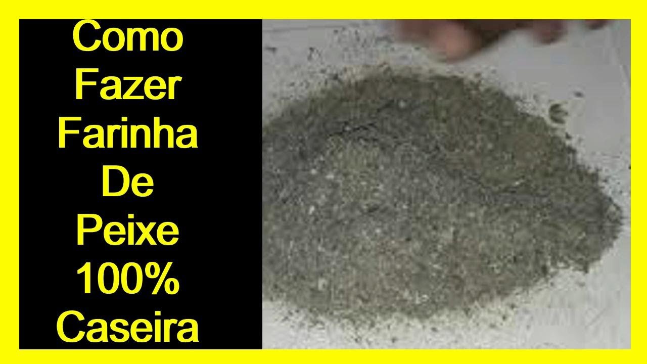 Como fazer Farinha de peixe artesanal para produçao de raçao!