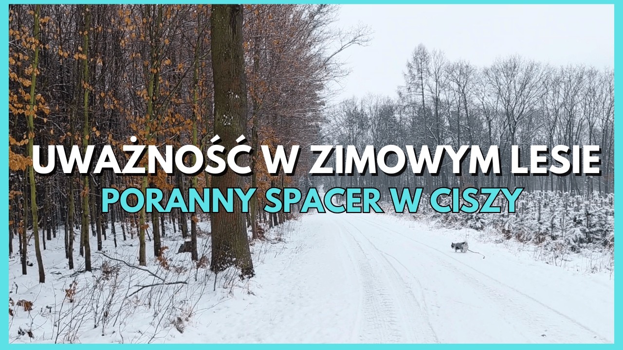 Poranny spacer w ciszy ❄️ Uważność w zimowym lesie Zwolnić. Oddychać. Iść. Książka. Filmy.Cozy czas