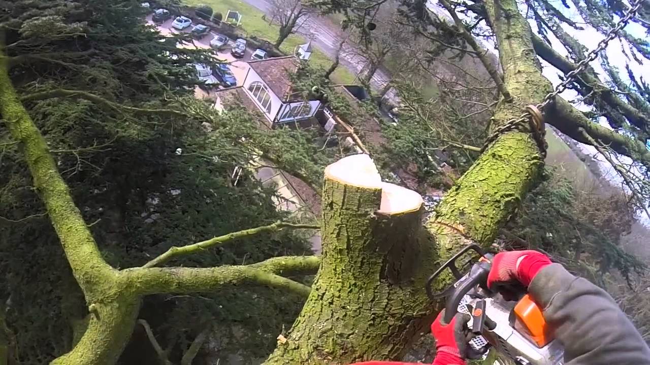 GoPro Arborist / tree surgeon footage of Crane job. 